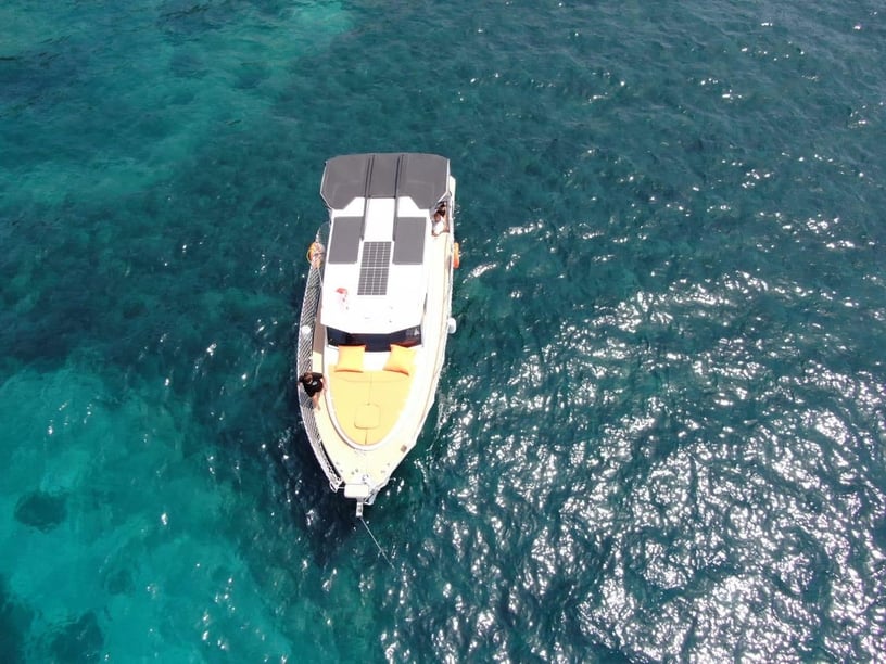 Kuşadası Motoryat   Seyir 8 kişi 10.5 m İlan No: #29725 3