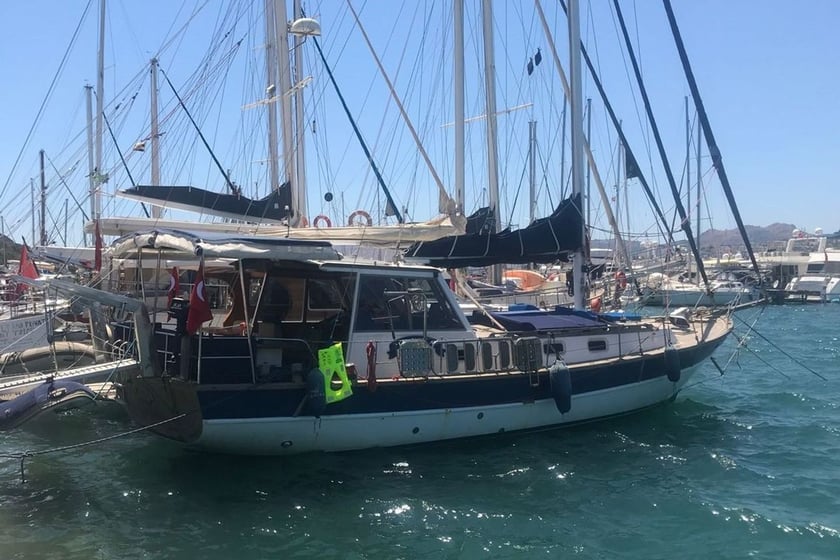 Bodrum Zeilboot   12  gasten 12.8 m Lijstnummer: #29890 4