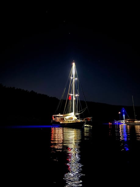 Bodrum Gulet 2 cabin 4 berths 8 guests 17 m Listing Number: #30305 3