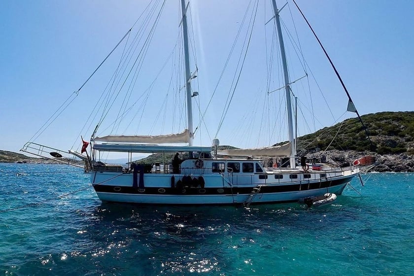 Bodrum Gulet 6 kabin Konaklama 12 kişi Seyir 12 kişi 26 m İlan No: #30538