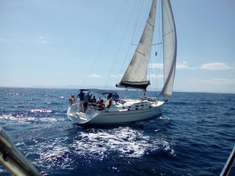 Cagliari Zeilboot Cabine 6  11  slaapplaatsen 11  gasten 15.6 m Lijstnummer: #4369