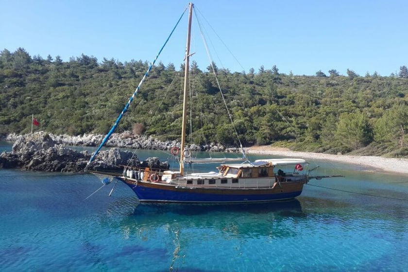 Bodrum Caicco cabina 3  cuccette 6  6  ospiti 17 m Numero dell'inserzione: #9045 2