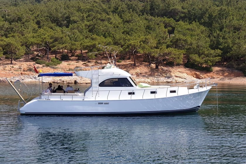 Ayvalik Yacht à moteur   Invités 10  13 m Numéro de l'annonce: #9773 2