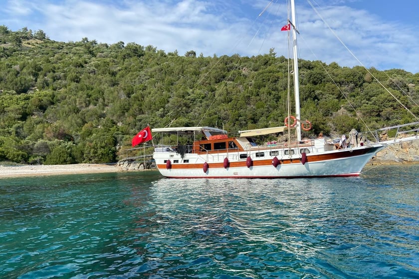 Bodrum Gulet 3 kabin Konaklama 6 kişi Seyir 6 kişi 17 m İlan No: #9954