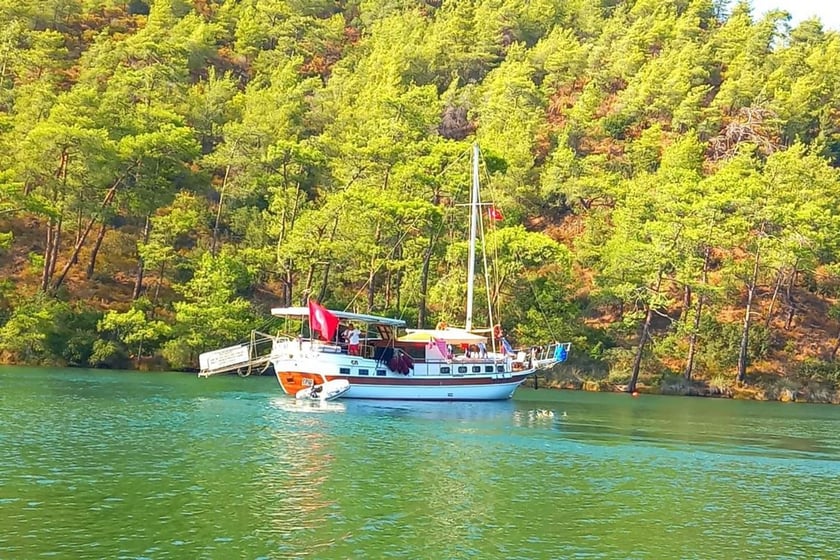 Bodrum Gulet 3 kabin Konaklama 6 kişi Seyir 6 kişi 17 m İlan No: #9954 2