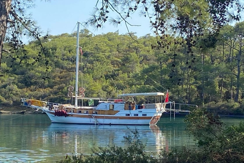 Bodrum Gulet 3 kabin Konaklama 6 kişi Seyir 6 kişi 17 m İlan No: #9954 3