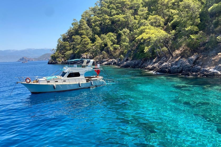 Fethiye Motoryacht   8 Gäste 11.6 m Nummer des Inserats: #9967 5